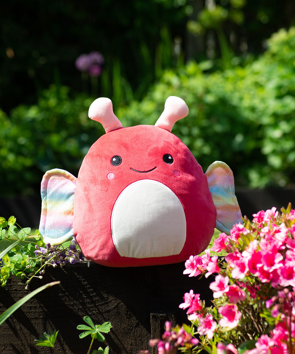 Squidgy’s by mumbles